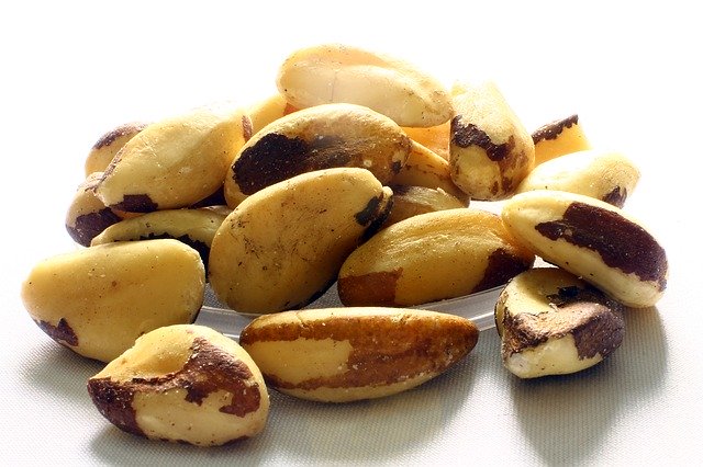 Noix du Brésil